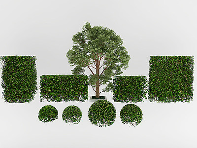 现代绿植灌木模型3d模型