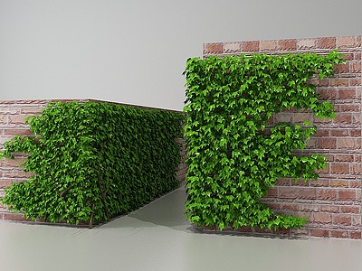 围墙植物爬山虎模型3d模型