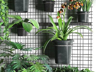 3d现代绿植盆栽植物墙组合模型