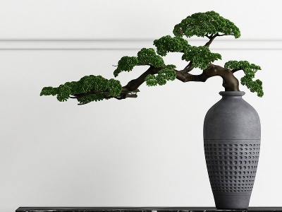3d盆景植物松树摆件组合模型