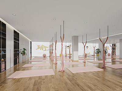 现代瑜伽室模型3d模型