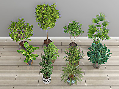 3d现代<font class='myIsRed'>绿植</font>盆栽植物模型