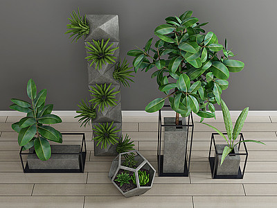 3d绿植盆栽植物模型
