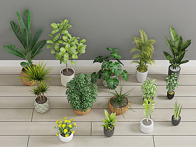 3d现代<font class='myIsRed'>绿植盆栽</font>植物模型
