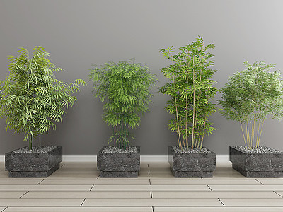 C4D绿植盆栽植物3d模型模型