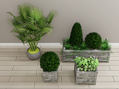 3d<font class='myIsRed'>绿植盆栽</font>植物模型