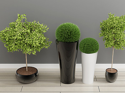 3d绿植盆栽植物花模型