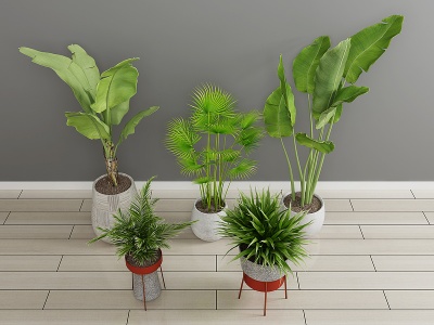 3d绿植盆栽植物花模型