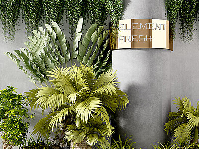 3d绿植盆栽植物花艺花盆模型