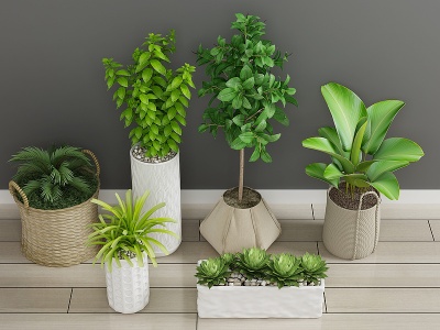 现代绿植盆栽植物花模型