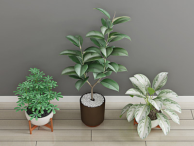 3d绿植盆栽植物模型