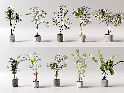花盆盆栽绿植室内植物盆栽模型