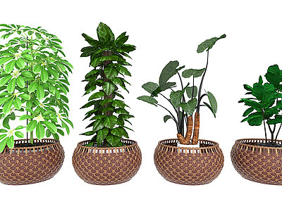 3d现代植物<font class='myIsRed'>盆栽组合</font>模型