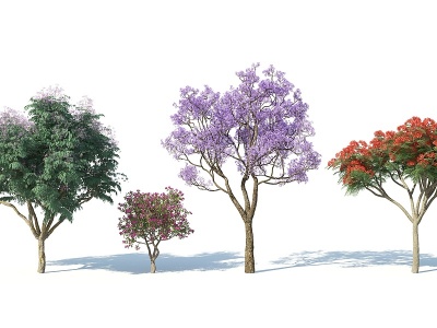 3d现代树木花树红花树模型