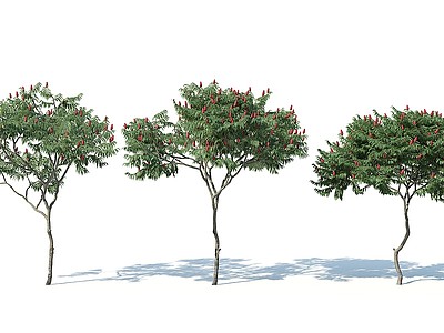 现代树木花树果树模型3d模型