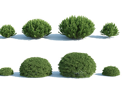 C4D现代灌木花园植物园林植物模型