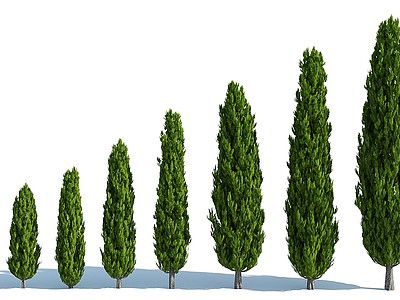 3d现代灌木花园植物园林植物模型