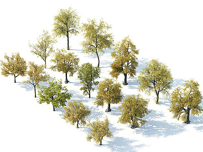 树木树木组合秋季树木模型3d模型