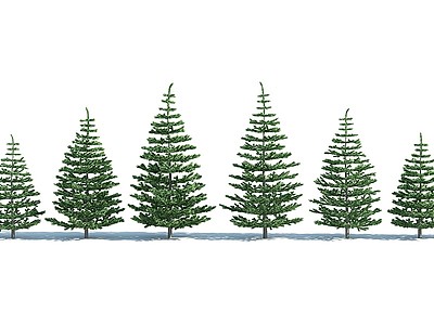 3d树木树木组合杉树模型