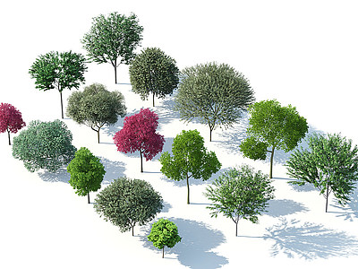 3d树木树木组合园林景观树模型