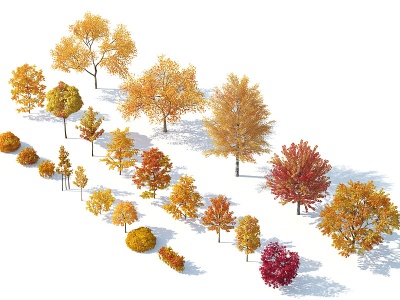 3d树木树木组合秋季树木模型