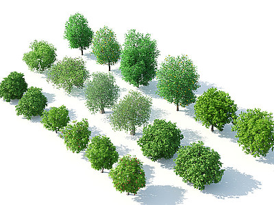 3d树木树木组合果树模型