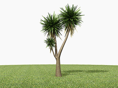 3d现代棕榈树模型