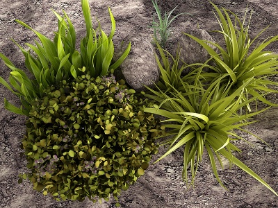 现代小草土壤模型3d模型