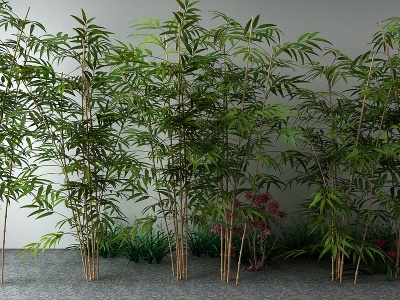 新中式竹子草模型3d模型