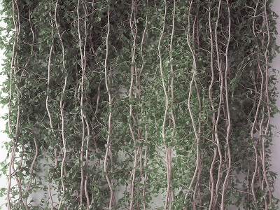 现代植物墙藤蔓模型3d模型