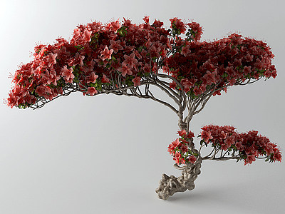 3d现代樱花树模型