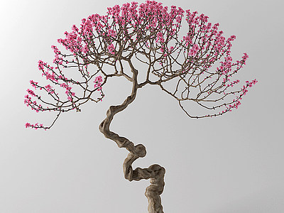 中式梅花树模型