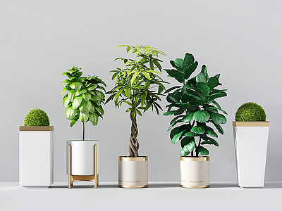 3d现代植物盆栽金属落地花器模型