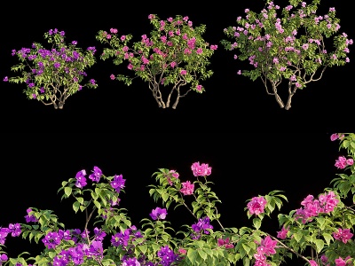 3d现代植物花丛模型