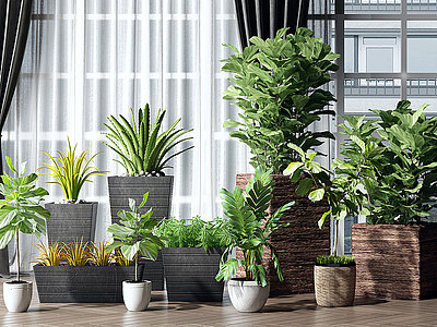 绿植盆栽组合模型3d模型