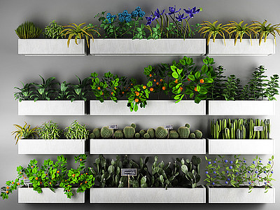 3d植物盆栽户外花草植物绿植模型