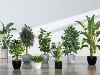 綠植盆栽3d模型