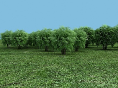 3d棕竹热带植物植物模型
