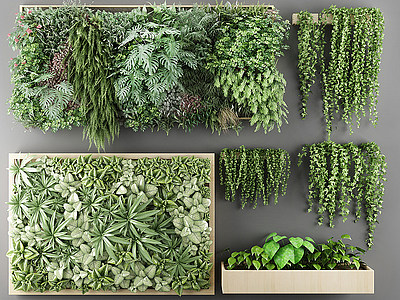 现代植物盆栽户外花草模型3d模型