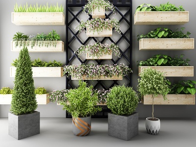 3d现代植物盆栽户外花草模型