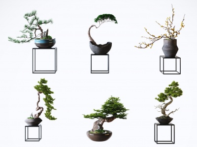 3d新中式风格植物盆栽模型