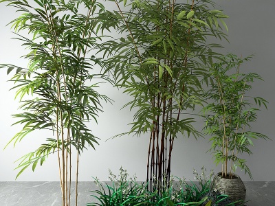 3d新中式风格植物盆栽竹子草模型