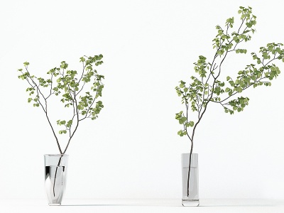 3d现代日本吊钟绿植水生植物模型
