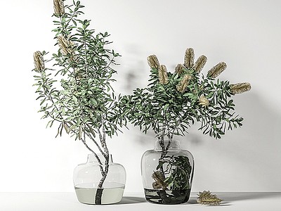 现代盆栽盆景模型3d模型