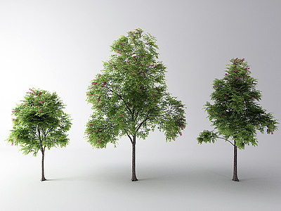 現代樹景觀樹模型3d模型