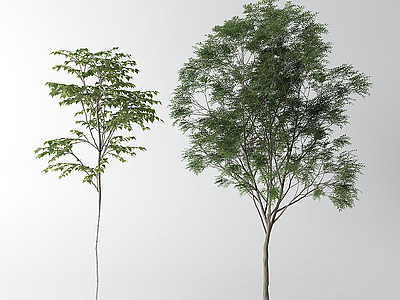 現代樹模型3d模型