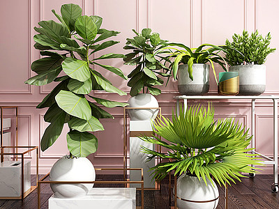 3d现代植物盆栽装饰品模型