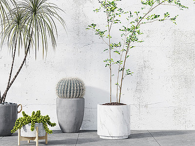 现代植物盆栽花瓶花艺模型3d模型
