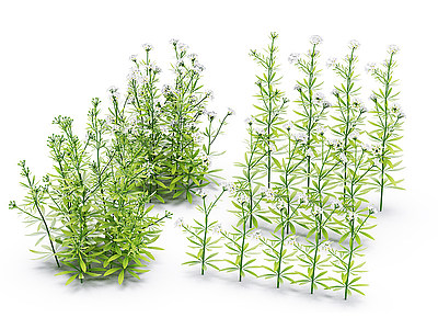 現代花草綠植模型3d模型