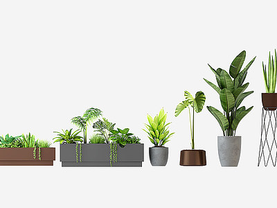 现代植物绿植室内家居盆栽模型3d模型